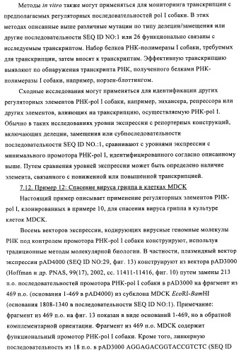 Способы и композиции для экспрессии антисмысловой вирусной рнк в клетках собаки (патент 2457250)