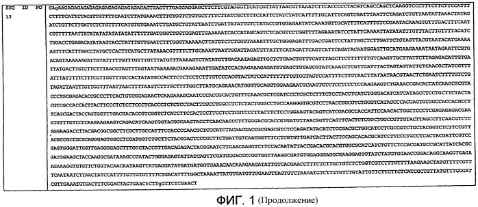Мутанты fad-2 и высокоолеиновые растения (патент 2484137)