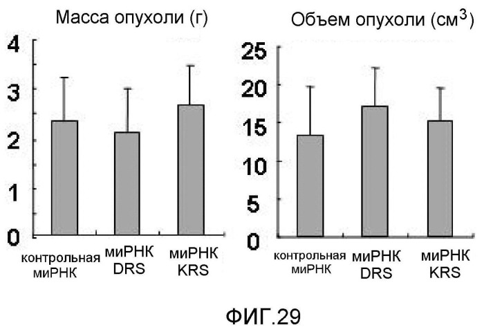 Способ ингибирования метастазирования злокачественной опухоли или миграции злокачественных клеток посредством снижения клеточного уровня лизил-трнк-синтетазы (варианты), композиция и применение вектора экспрессии или антитела против krs для ингибирования метастазирования злокачественной опухоли или миграции злокачественных клеток (патент 2465330)