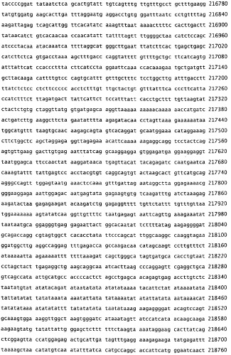Применение s1p (патент 2362565)