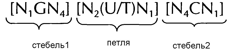 Нуклеиновая кислота, содержащая или кодирующая структуру "стебель-петля" гистонов и последовательность поли(а) или сигнал полиаденилирования, для повышения экспрессии кодируемого терапевтического белка (патент 2634391)