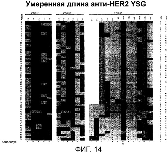 Связывающие полипептиды и их применения (патент 2470941)