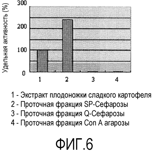 Полученная из моноцита человека стволовая клетка для терапевтического применения и способ ее индукции (патент 2573906)