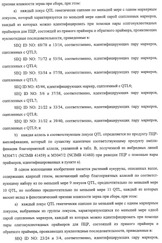 Новые растения кукурузы (патент 2423528)