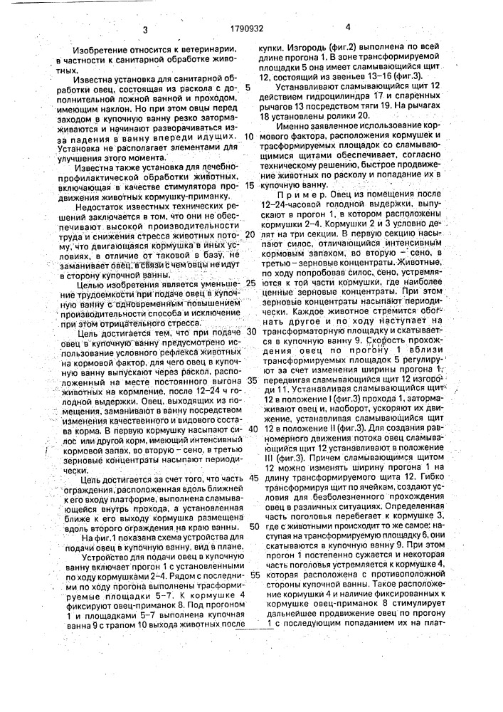 Способ подачи овец в купочную ванну и устройство для его осуществления (патент 1790932)