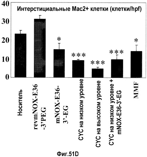 Связывающая мср-1 нуклеиновая кислота и ее применение (патент 2542973)