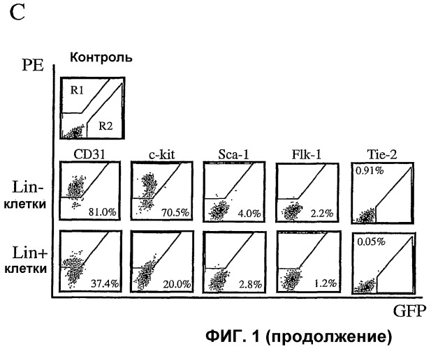 Изолированные популяции миелоидоподобных клеток костного мозга и способы лечения с ними (патент 2418856)