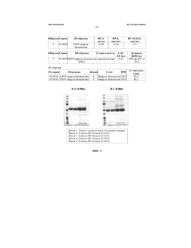 Вирусоподобные частицы (vlp) из гликопротеина вируса бешенства (патент 2575800)