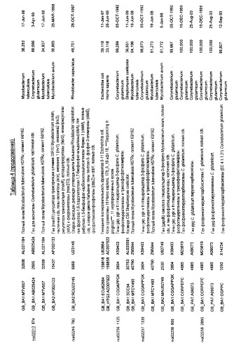 Гены corynebacterium glutamicum, кодирующие белки, участвующие в метаболизме углерода и продуцировании энергии (патент 2321634)