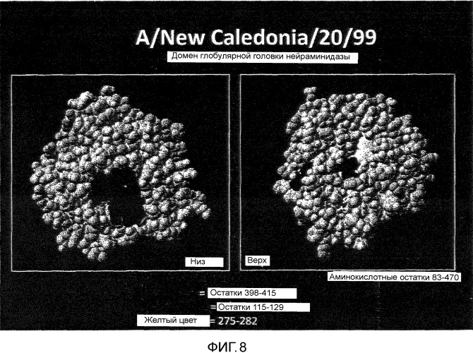 Иммуногенные композиции и способы (патент 2468034)