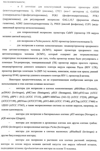 Аминокислотные последовательности, направленные на rank-l, и полипептиды, включающие их, для лечения заболеваний и нарушений костей (патент 2481355)