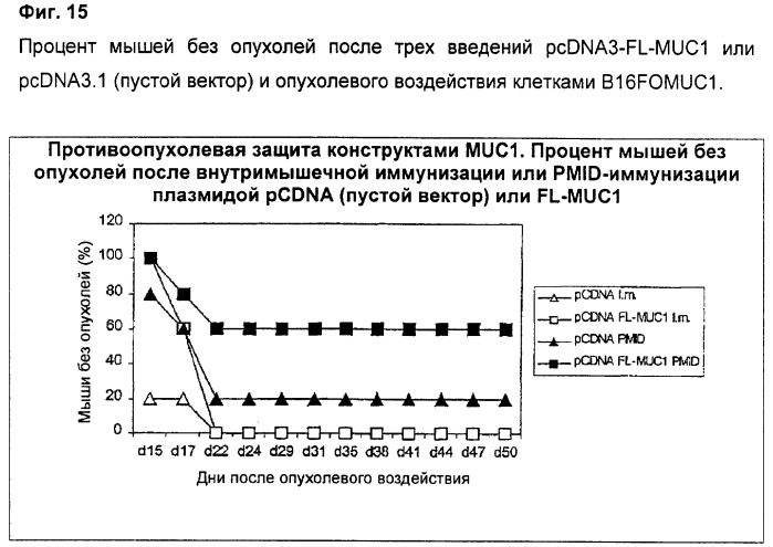 Антиген muc1 со сниженным числом повторяющихся vntr-блоков (патент 2303069)