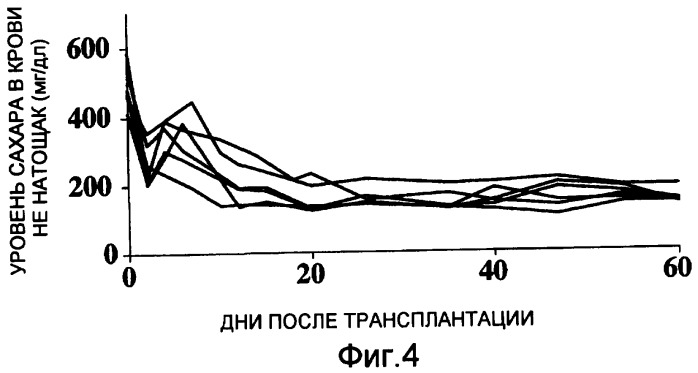 Агенты для подавления повреждения трансплантированных островков после трансплантации островков (патент 2446826)