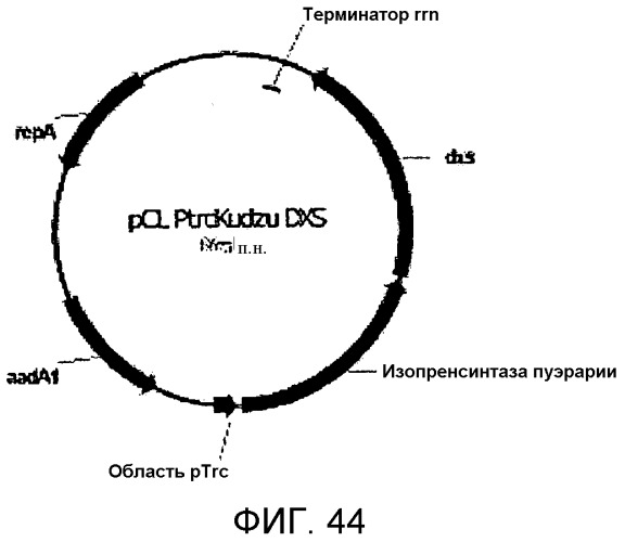 Композиции и способы получения изопрена, не содержащего с5-углеводородов в условиях нарушения взаимосвязи между продуцированием изопрена и ростом клеток и/или в условиях продуцирования изопрена на безопасных рабочих уровнях (патент 2563513)