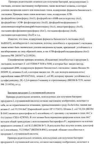 Способ получения l-аминокислот с использованием бактерии, принадлежащей к роду escherichia, в которой инактивирован один или несколько генов, кодирующих малые рнк (патент 2395567)