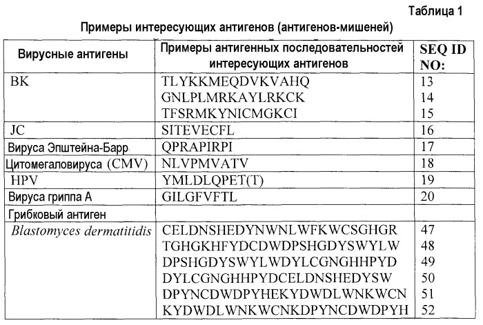 Композиции и способы лечения инфекций и опухолей (патент 2540490)