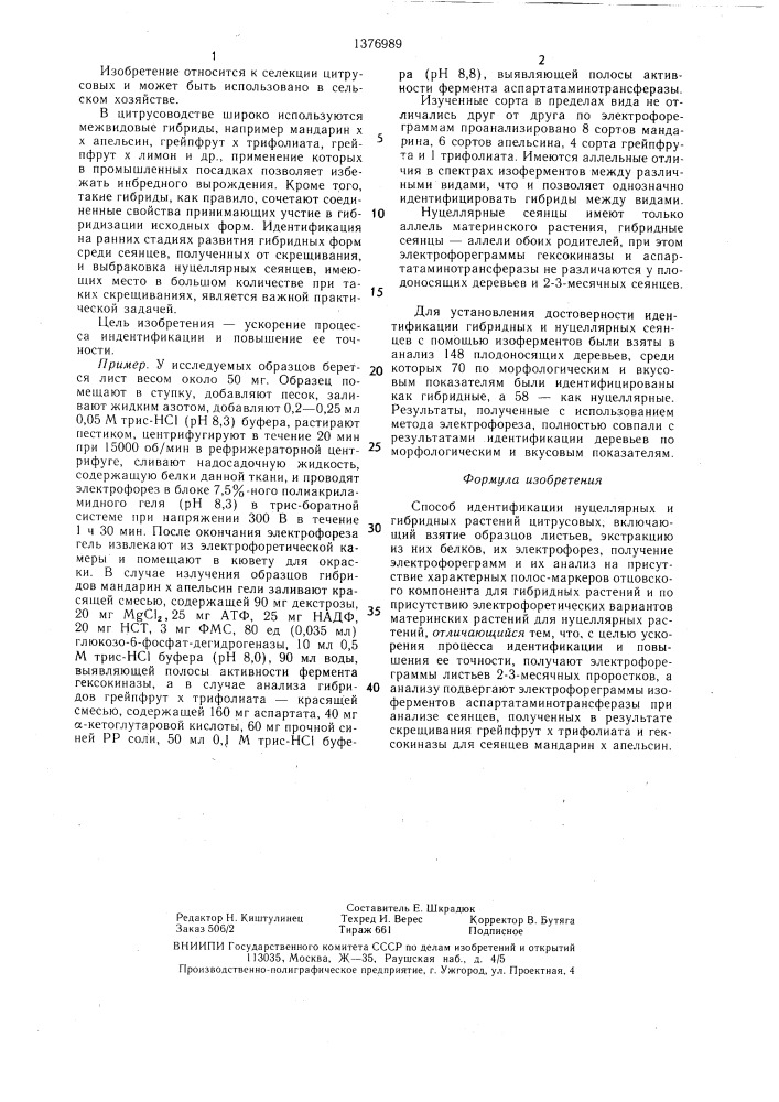 Способ идентификации нуцеллярных и гибридных растений цитрусовых (патент 1376989)