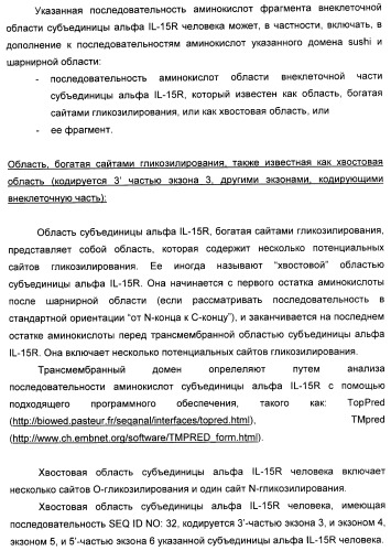 Соединение, предназначенное для стимуляции пути передачи сигнала через il-15rбета/гамма, с целью индуцировать и/или стимулировать активацию и/или пролиферацию il-15rбета/гамма-положительных клеток, таких как nk-и/или t-клетки, нуклеиновая кислота, кодирующая соединение, вектор экспрессии, клетка-хозяин, адъювант для иммунотерапевтической композиции, фармацевтическая композиция и лекарственное средство для лечения состояния или заболевания, при котором желательно повышение активности il-15, способ in vitro индукции и/или стимуляции пролиферации и/или активации il-15rбета/гамма-положительных клеток и способ получения in vitro активированных nk-и/или t-клеток (патент 2454463)