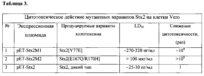 Нетоксичный рекомбинантный шига токсин 2-го типа (stx2) (патент 2573924)