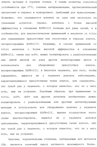 Scfv против egfrviii с улучшенной цитотоксичностью и выходом, иммунотоксины на их основе и способы их применения (патент 2317999)