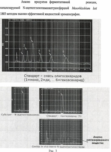 Способ ферментативного получения пента-n-ацетилхитопентаозы (патент 2460800)