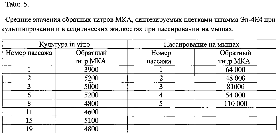 Штамм гибридных культивируемых клеток животных mus musculus l. en-4e4 - продуцент моноклональных антител против эндоглина (cd105) человека (патент 2604192)