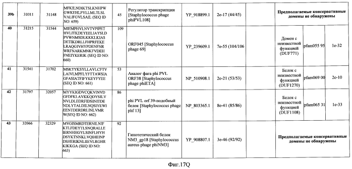 Бактериофаг, обладающий активностью против pseudomonas aeruginosa, белки бактериофага и способы их применения (патент 2580248)