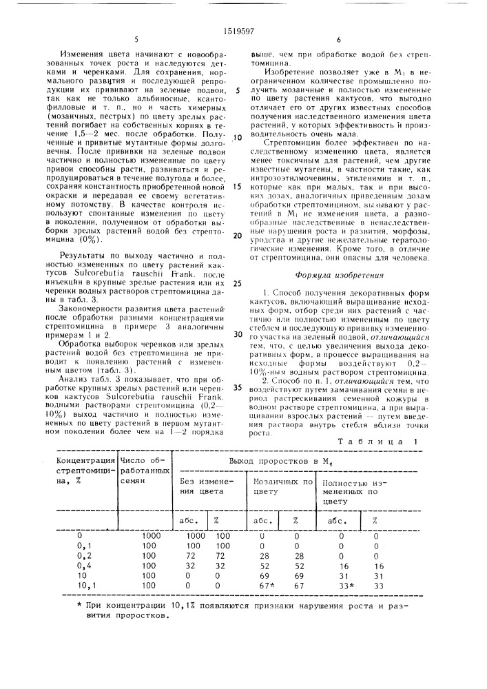 Способ получения декоративных форм кактусов (патент 1519597)