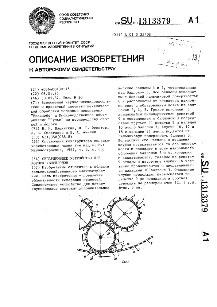 Сепарирующее устройство для корнеклубнеплодов (патент 1313379)