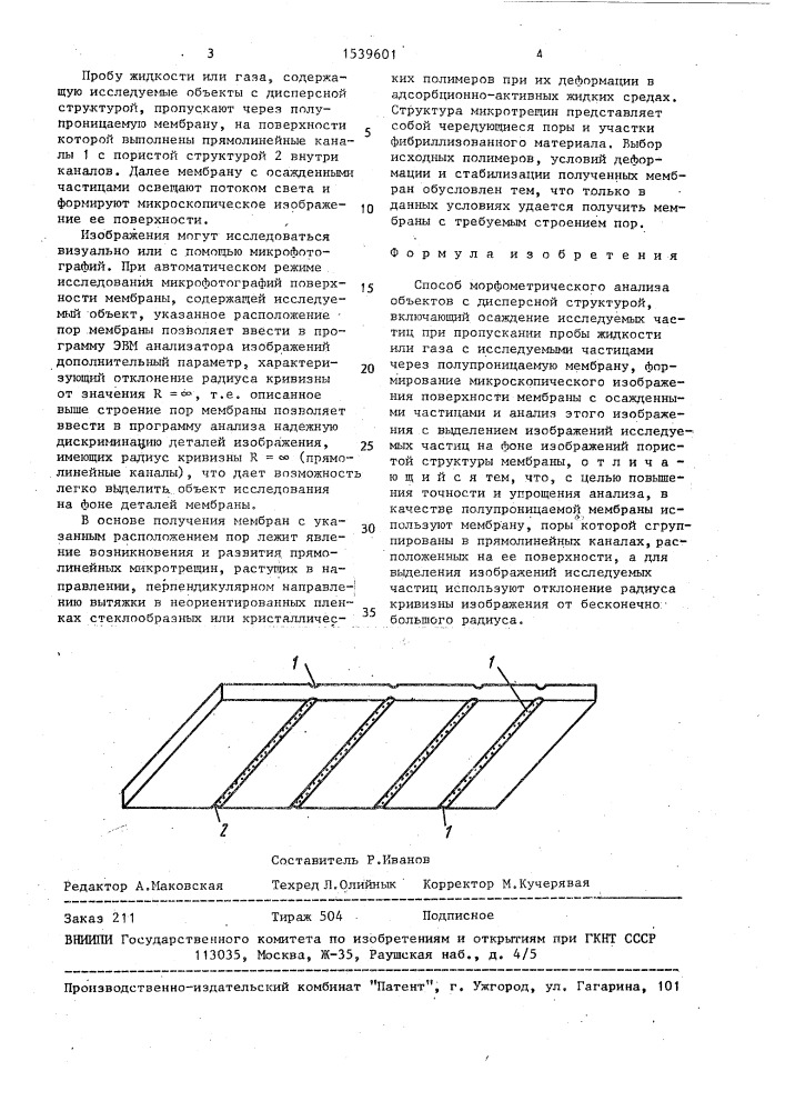 Способ морфометрического анализа объектов с дисперсной структурой (патент 1539601)