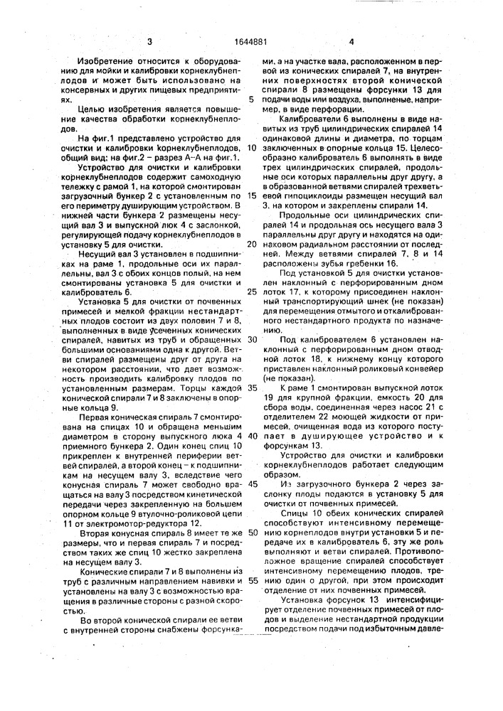 Устройство для очистки и калибровки корнеклубнеплодов (патент 1644881)