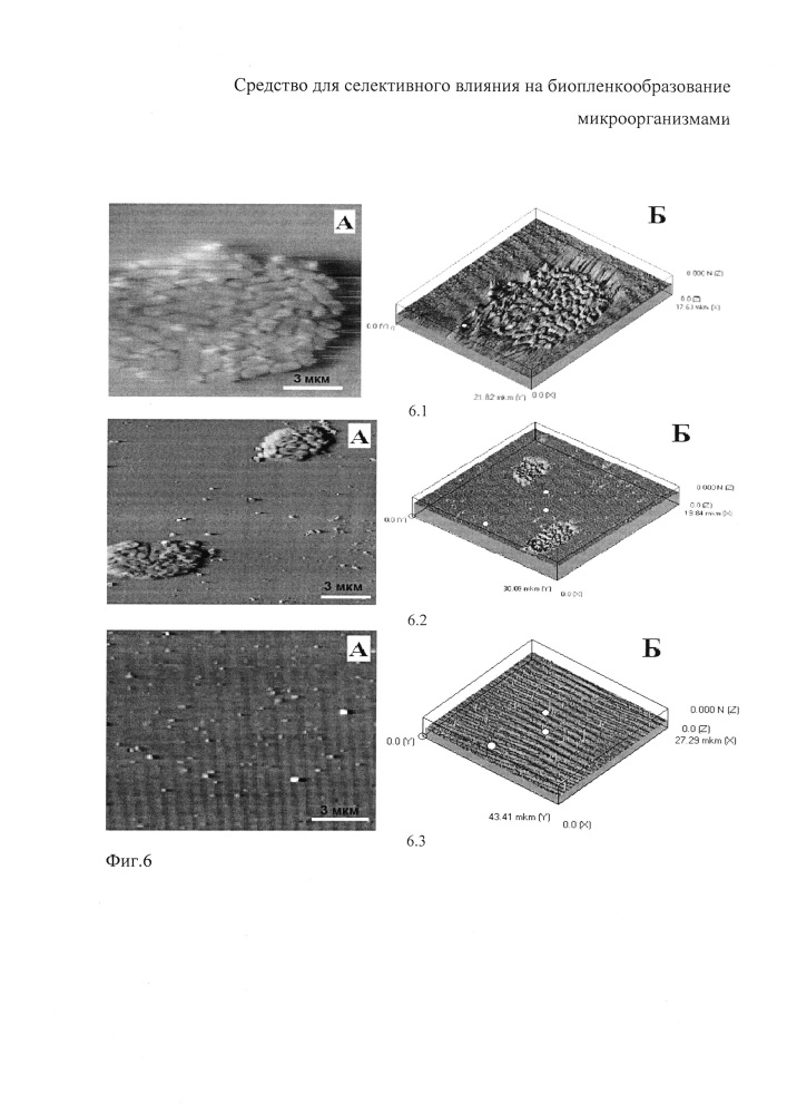 Средство для селективного влияния на биопленкообразование микроорганизмами (патент 2646488)