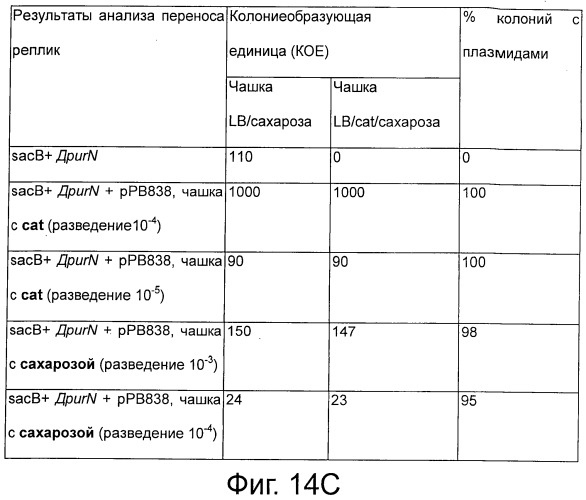 Плазмида без устойчивости к антибиотику (патент 2548809)