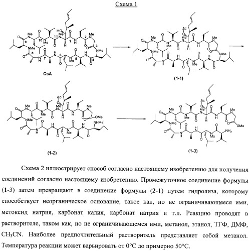 Аналоги циклоспорина для предупреждения или лечения инфекции гепатита с (патент 2492181)