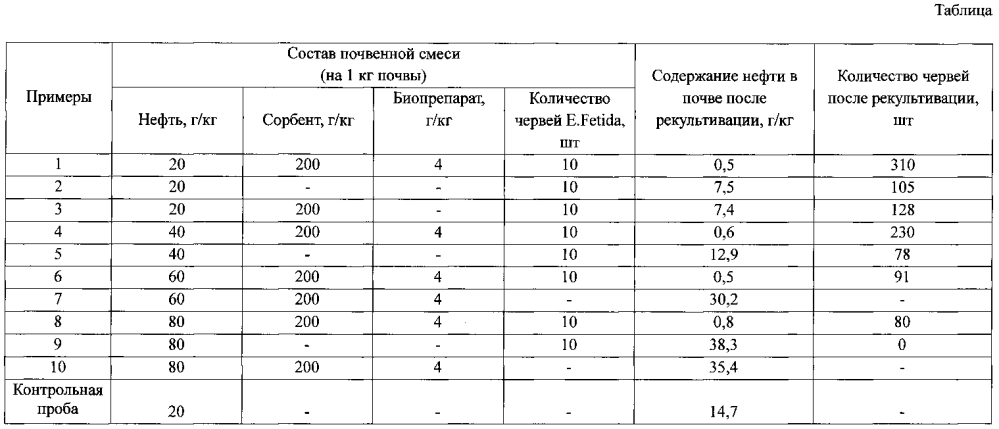 Способ очистки и рекультивации почвы, загрязненной нефтью и нефтепродуктами (патент 2594995)