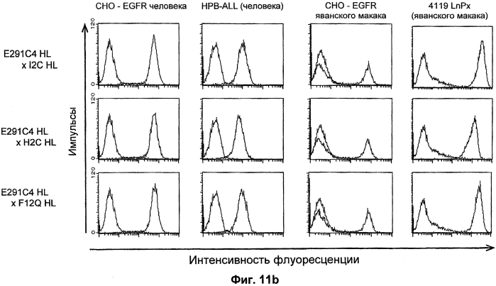 Cd3-эпсилон-связывающий домен с межвидовой специфичностью (патент 2561457)