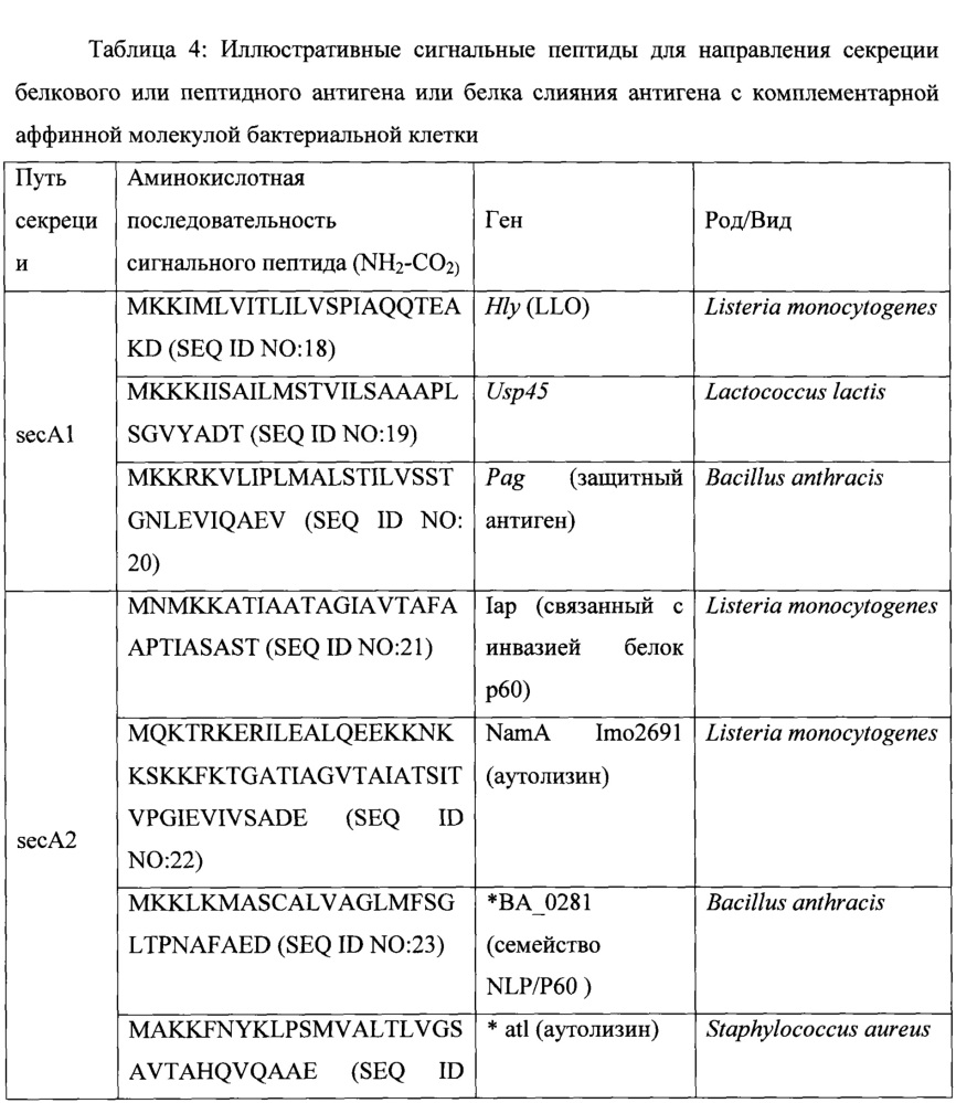 Иммуногенная композиция презентации множественных антигенов, относящиеся к ней способы и применения (патент 2619176)