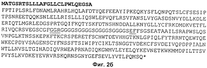 Полипептиды модифицированного гормона роста (патент 2471808)