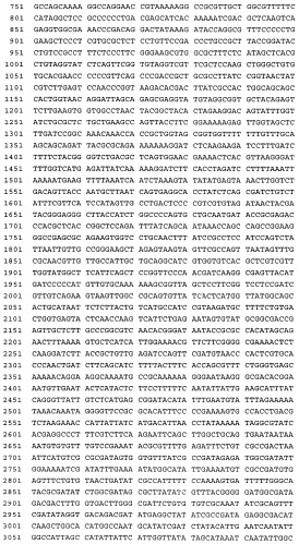 Связывающие молекулы, обладающие терапевтической активностью (патент 2386639)