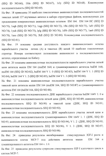 Антитела к рецептору igf-i (патент 2421465)