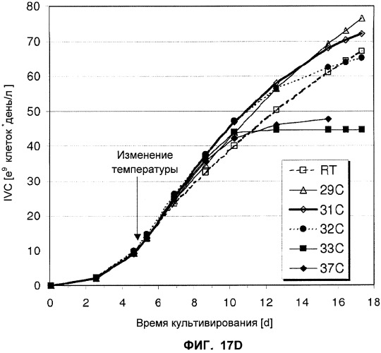 Применение низкой температуры и/или низкого pн в культуре клеток (патент 2478702)