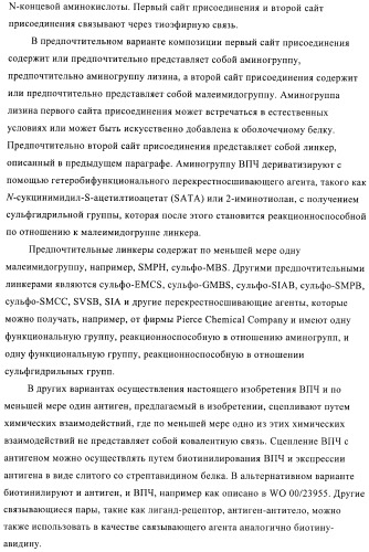 Конъюгаты впч-антиген и их применение в качестве вакцин (патент 2417793)