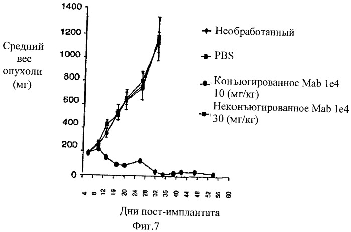 Анти-mn антитела и способы их применения (патент 2427590)