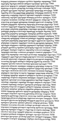 Модуляция экспрессии гентингтина (патент 2562861)