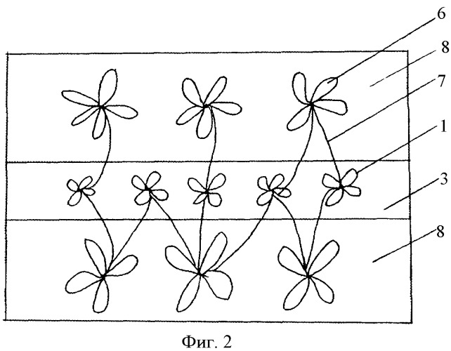 Способ сбора и посадки рассады растений и устройство для его осуществления (патент 2369084)
