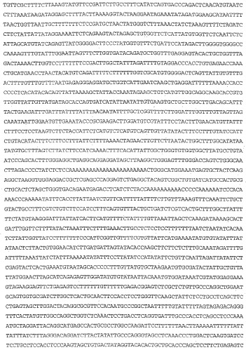 Применение s1p (патент 2362565)