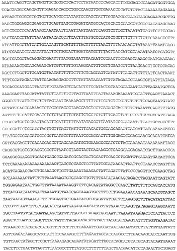 Применение s1p (патент 2362565)