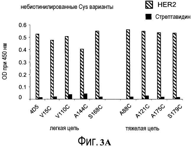 Конъюгаты меченных радиоактивным цирконием сконструированных антител с цистеиновыми заменами (патент 2562862)