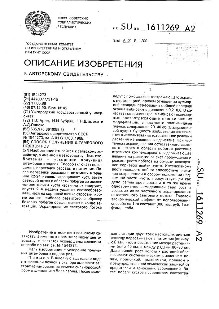 Способ получения штамбового подвоя роз (патент 1611269)