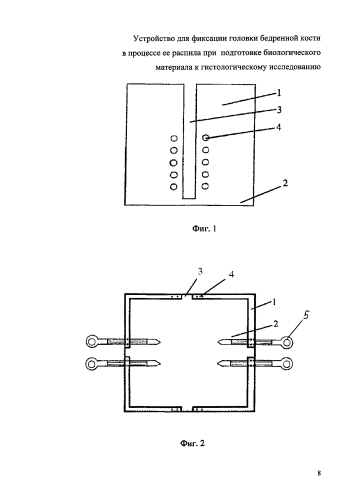 Устройство для фиксации головки бедренной кости в процессе ее распила для подготовки биологического материала к гистологическому исследованию (патент 2593158)